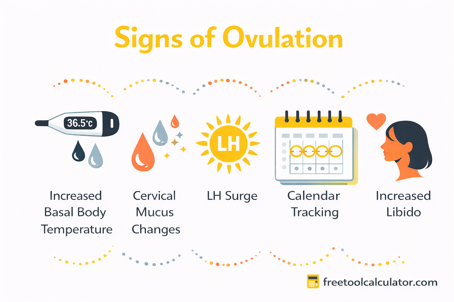 Ovulation Signs Fertile Window and Tracking Accuracy Explained